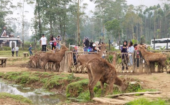 Wisata di Bandung